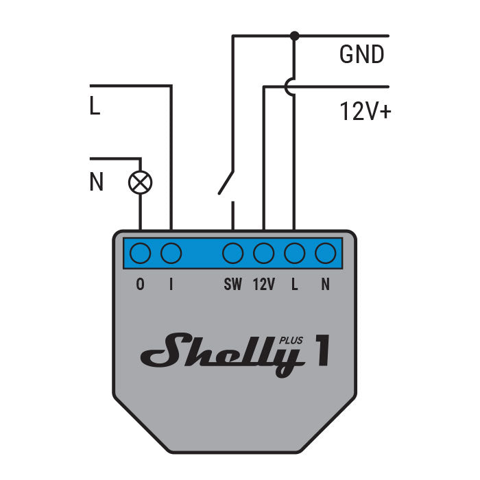 Shelly Plus 1