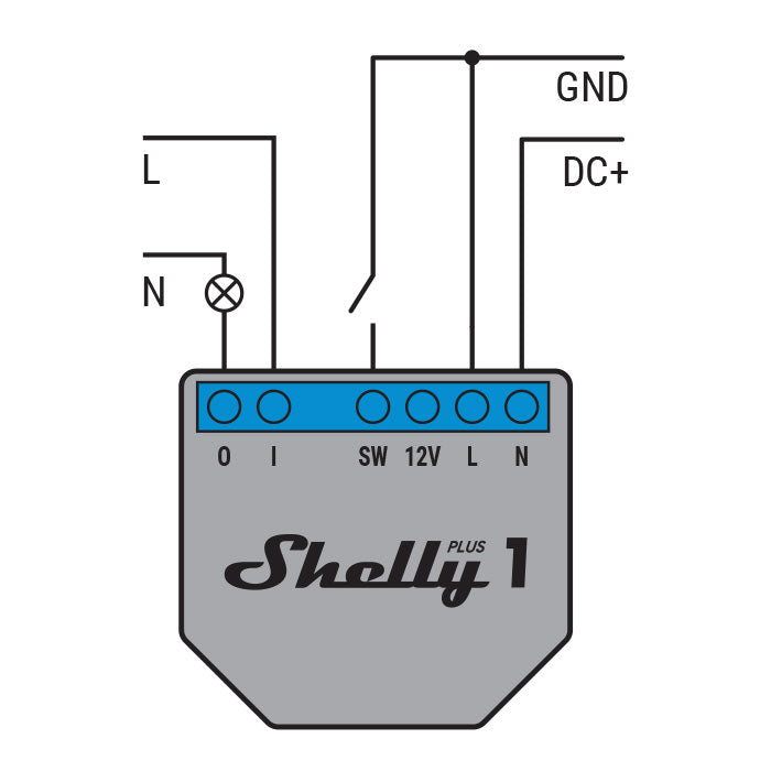 Shelly Plus 1